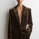 BLAZER DE TERCIOPELO BOTONADURA SENCILLA MARRÓN | COS ES